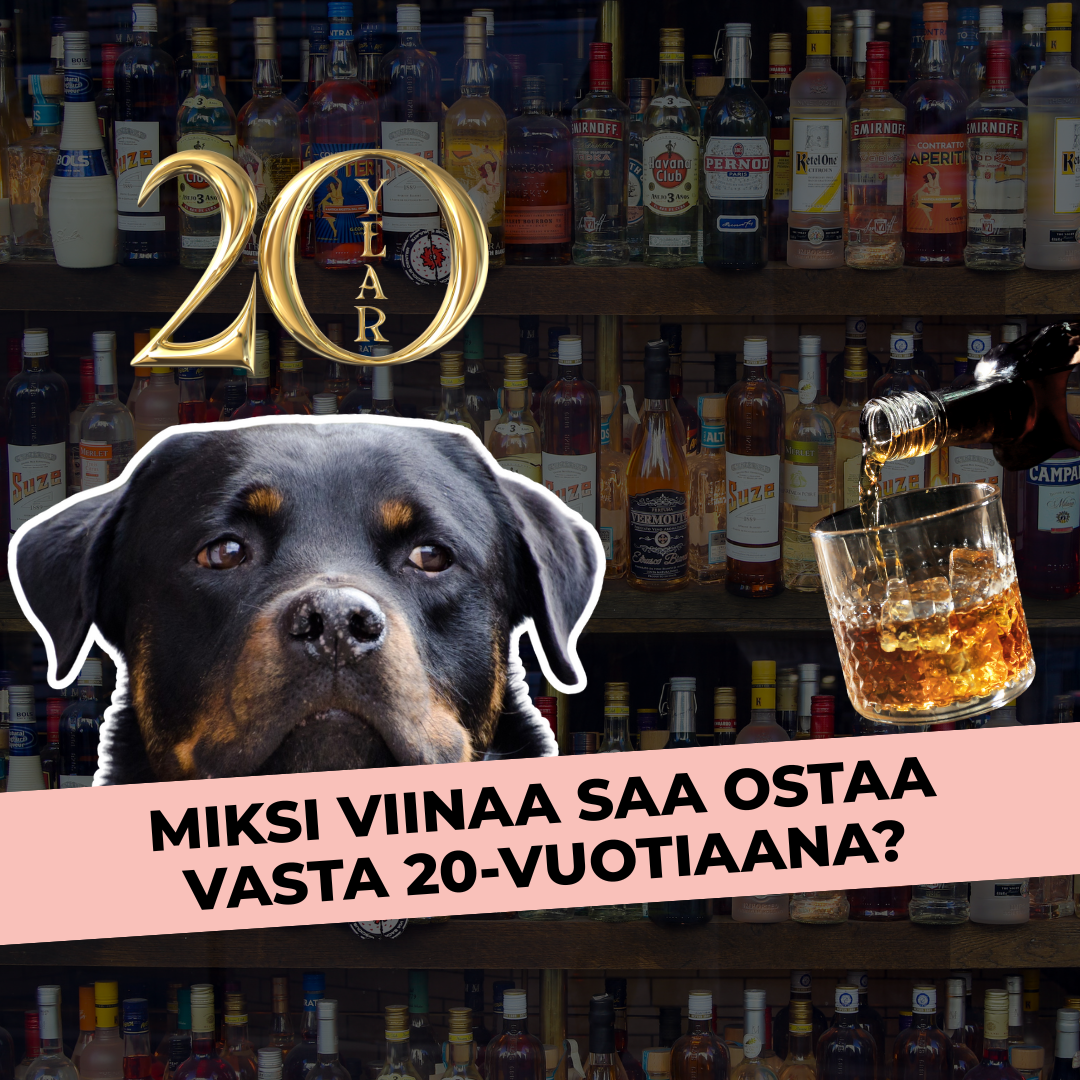 Miksi viinaa saa ostaa vasta 20-vuotiaana?