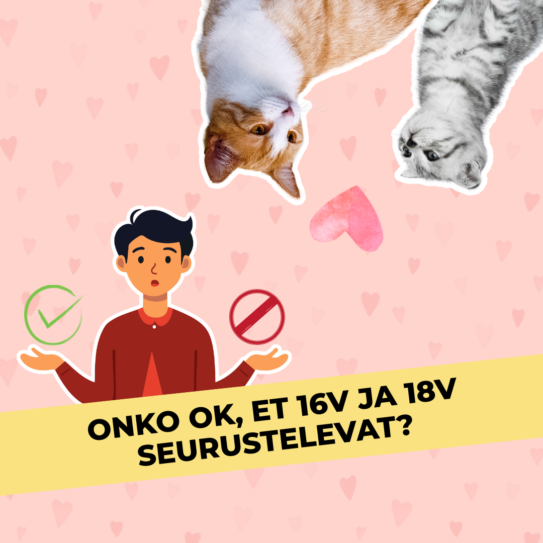 Onko ok, et 16v ja 18v seurustelevat?
