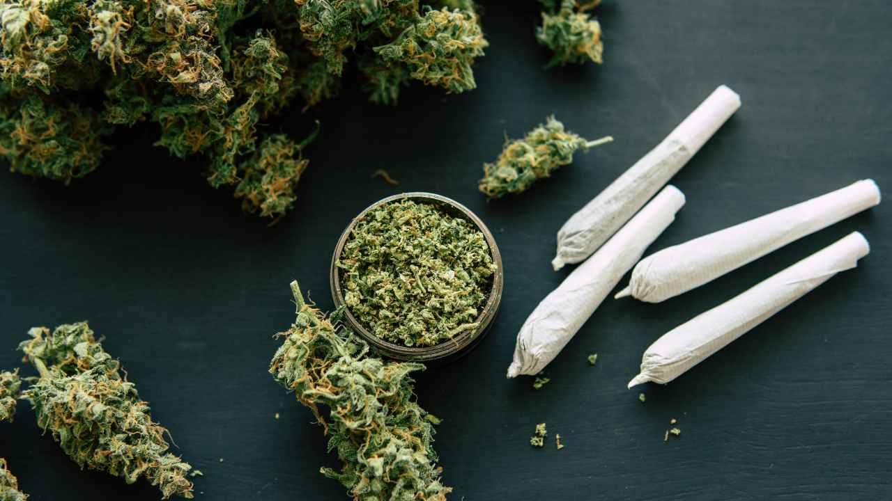 Varför är cannabis olagligt?