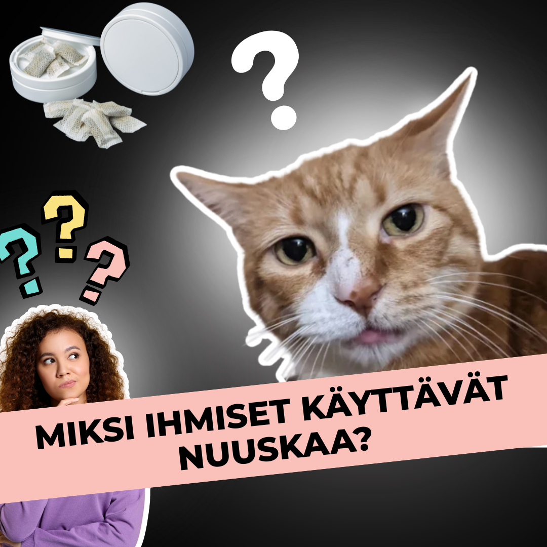 Miksi ihmiset käyttävät nuuskaa?