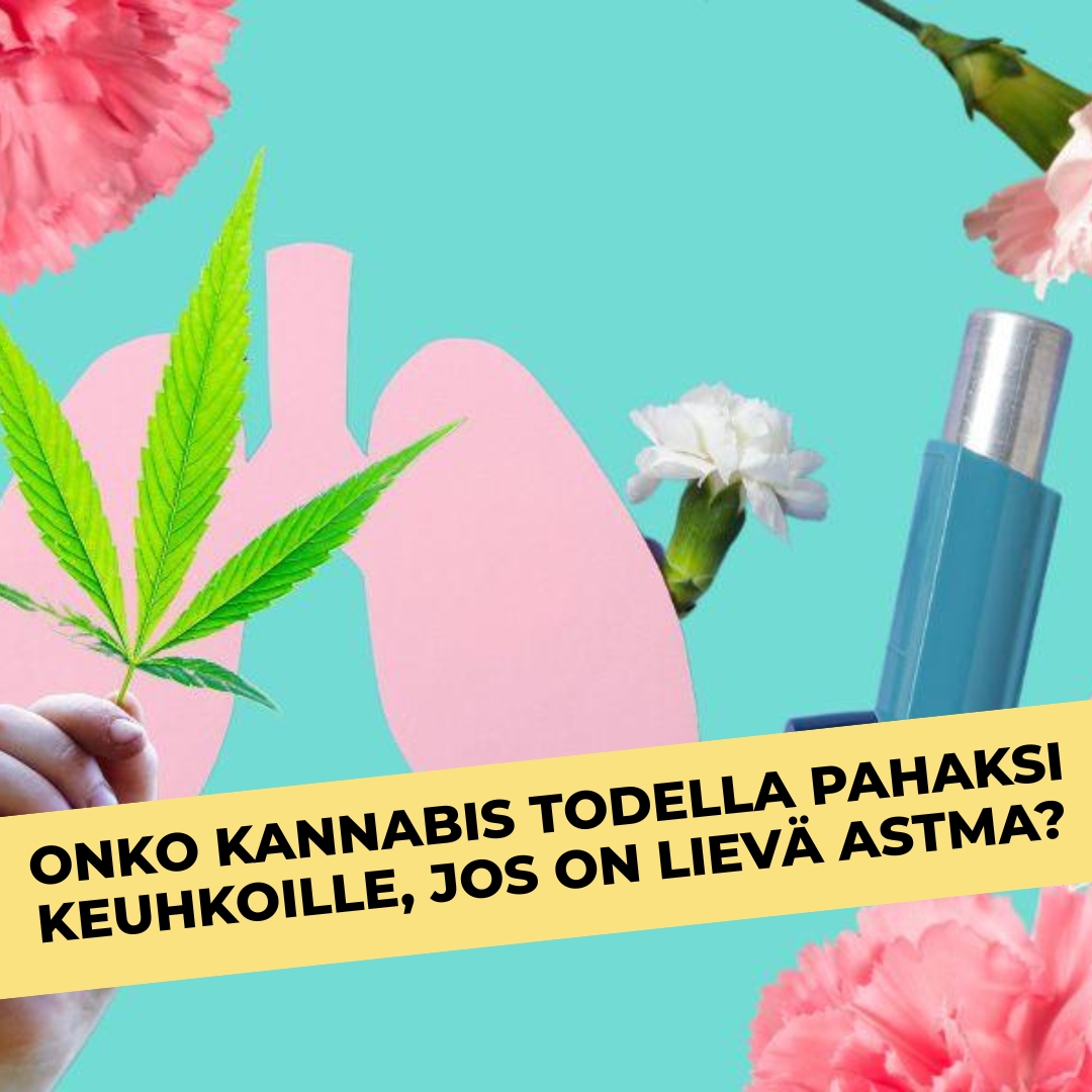 Onko kannabis todella pahaksi keuhkoille, jos on lievä astma? Tuleeko pysyviä seurauksia?
