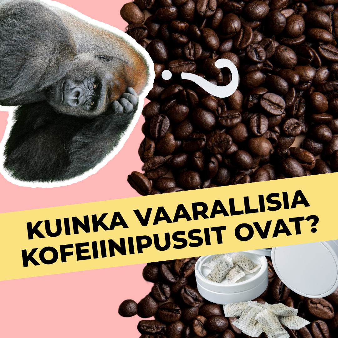 Kuinka vaarallisia kofeiinipussit ovat?