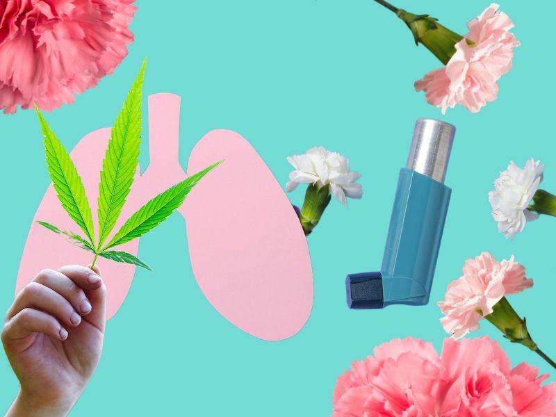 Onko kannabis todella pahaksi keuhkoille, jos on lievä astma? Tuleeko pysyviä seurauksia?
