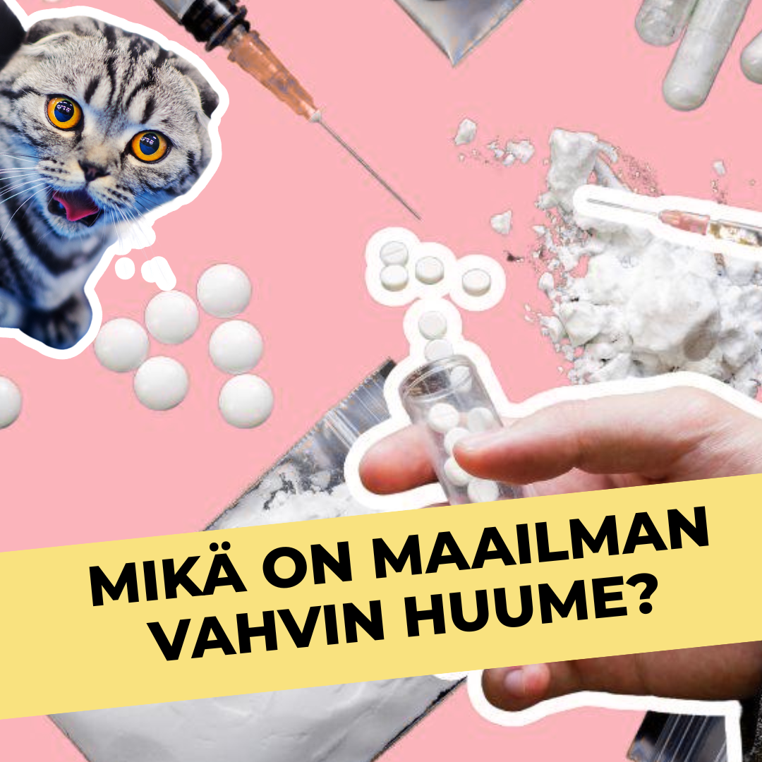 Mikä on maailman vahvin huume?