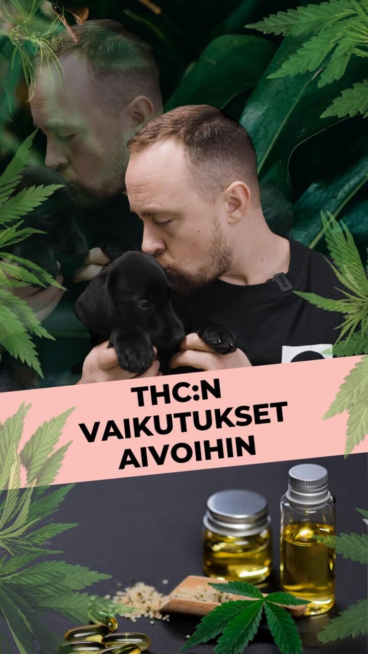 THC vaikuttaa aivoihin