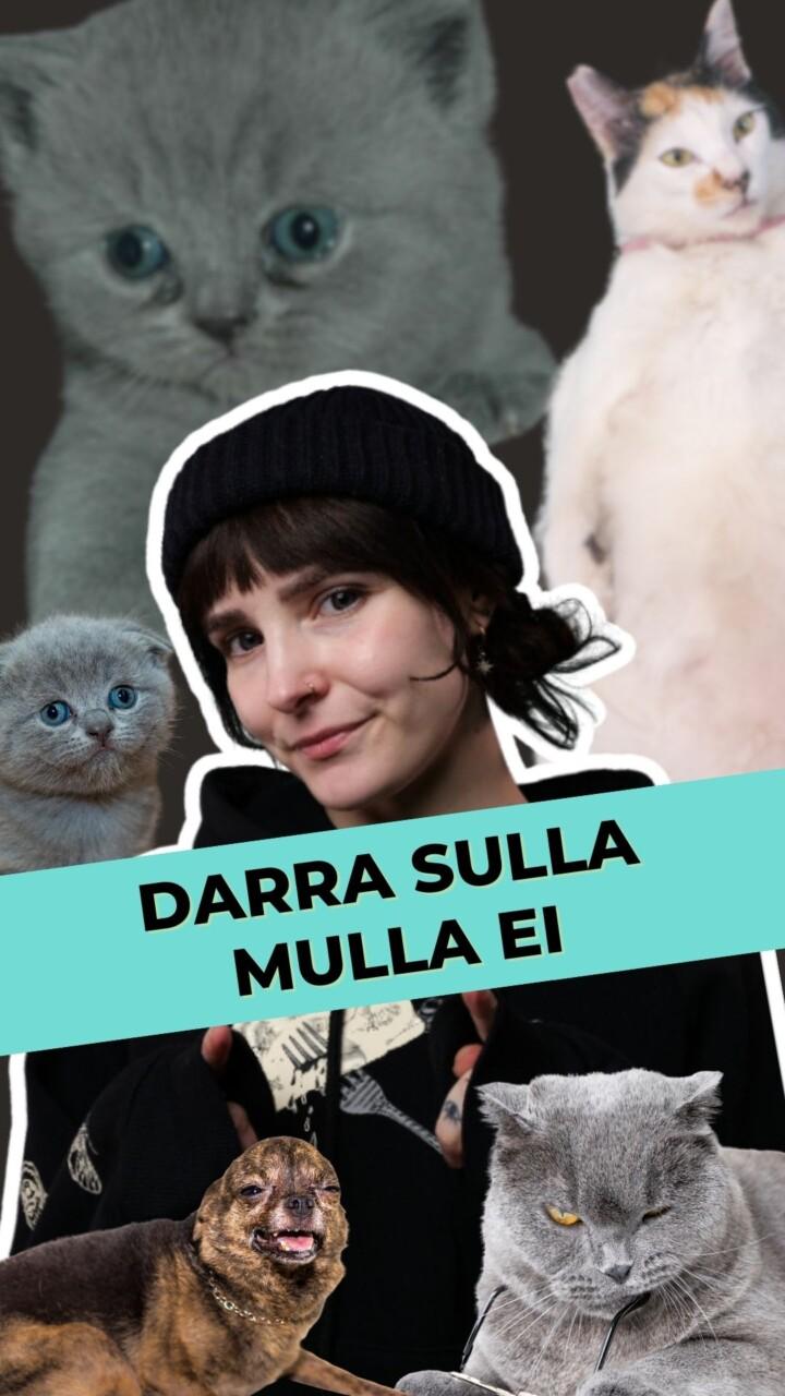 Darra sulla, mulla ei?