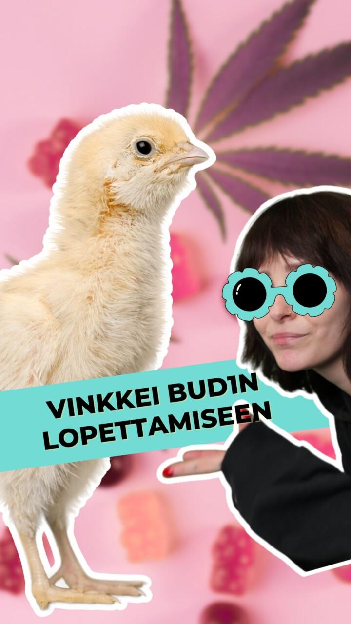 Budin käytön lopettaminen