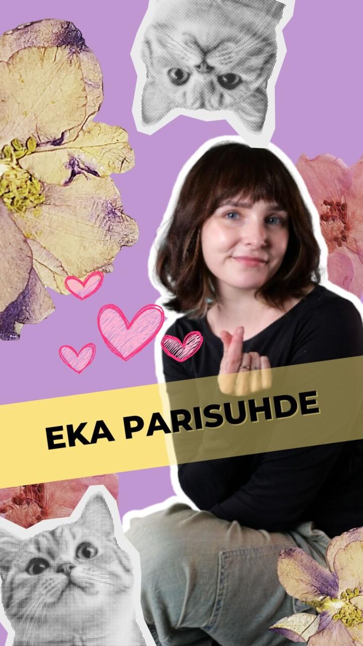 Seurustelu