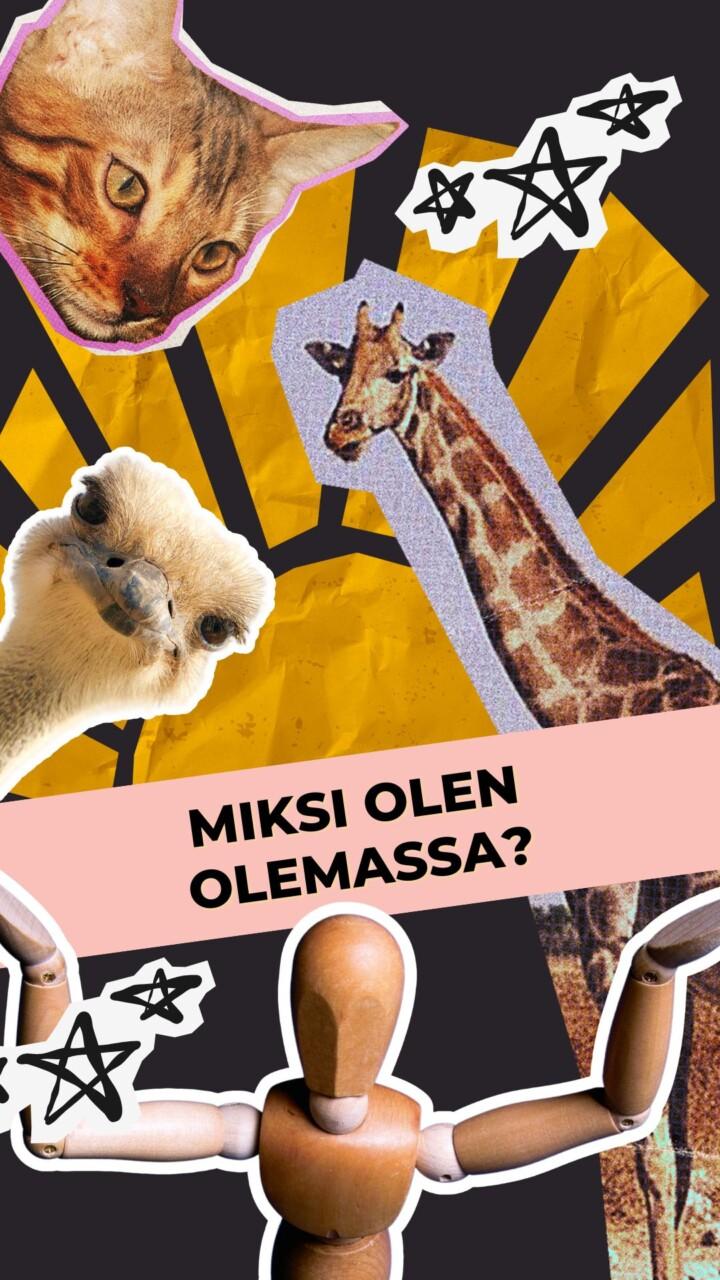Miksi olen olemassa?