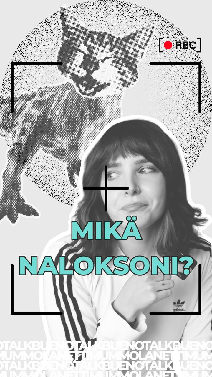 Naloksoni Ja Opioidikuolemat Buenotalk